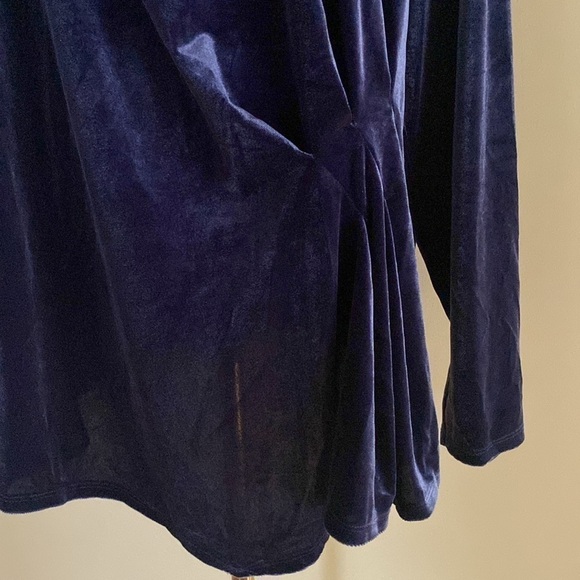 The Limited Ruch Side Detail Velvet Tunic - Picture 2 of 10